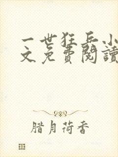 一世狂兵小说全文免费阅读封面