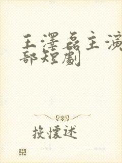 王泽磊主演的全部短剧