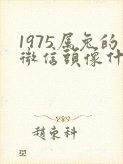 1975属兔的微信头像什么可以旺财