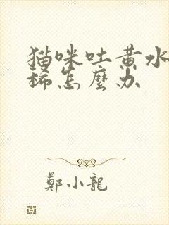 猫咪吐黄水还拉稀怎么办