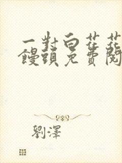 一对白花花的大馒头免费阅读封面