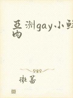 亚洲gay小鲜肉