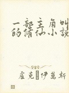 一部主角叫叶尘的修仙小说