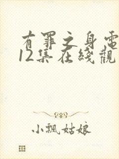 有罪之身电视剧12集在线观看封面