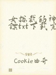 女总裁的神级保镖txt下载完本