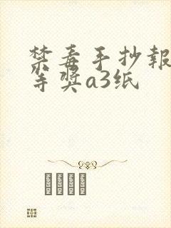 禁毒手抄报 一等奖a3纸封面