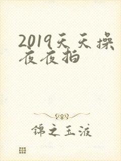 2019天天操夜夜拍
