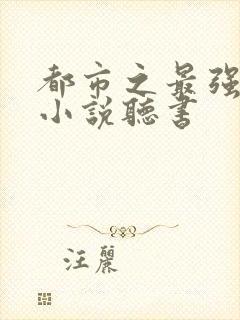 都市之最强狂兵小说听书