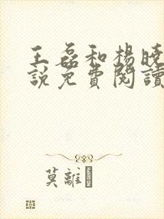 王磊和杨晓芬小说免费阅读