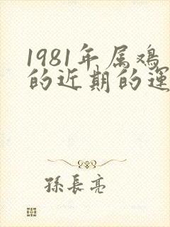 1981年属鸡的近期的运气