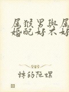 属猴男与属兔女婚配好不好