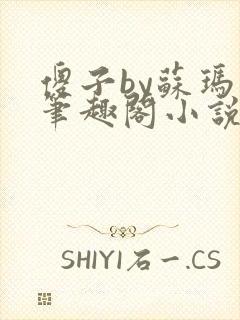 傻子by苏玛丽笔趣阁小说