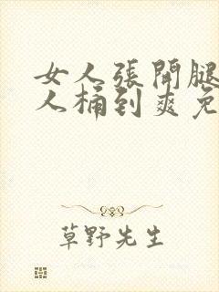 女人张开腿让男人桶到爽免费视频