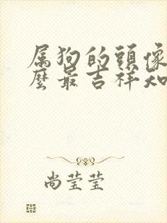 属狗的头像用什么最吉祥知旺财