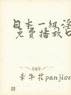 日本一级淫片a 免费播放口