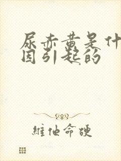 尿赤黄是什么原因引起的