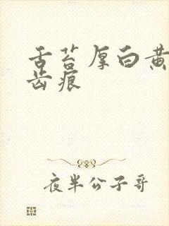 舌苔厚白黄腻有齿痕封面