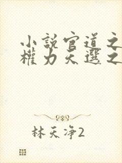 小说官道之绝对权力天选之主手机版封面