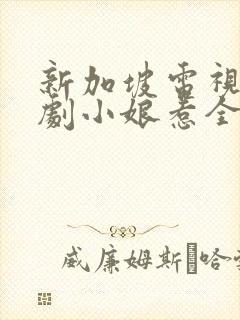 新加坡电视连续剧小娘惹全部剧集