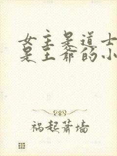 女主是道士男主是王爷的小说