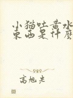 小猫吐黄水不吃东西是什么原因