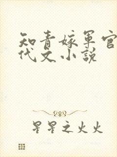 知青嫁军官的年代文小说