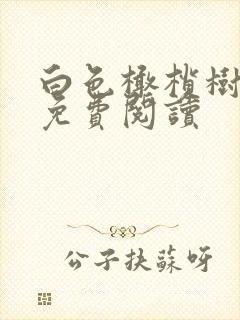 白色橄榄树全文免费阅读