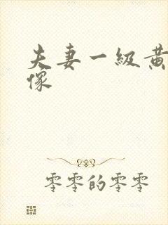 夫妻一级黄色录像