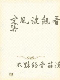 定风波观看99集