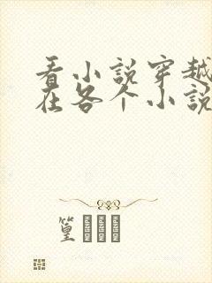 看小说穿越之我在各个小说当女主