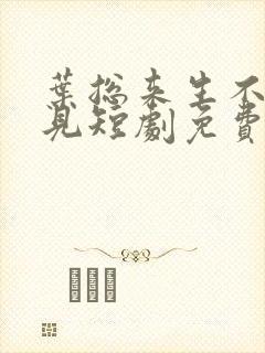 叶总来生不再相见短剧免费观看