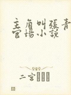 主角叫张青云的官场小说