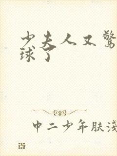 少夫人又惊艳全球了