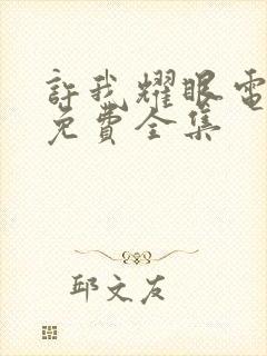 许我耀眼电视剧免费全集封面