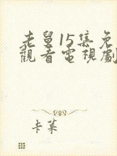 老舅15集免费观看电视剧