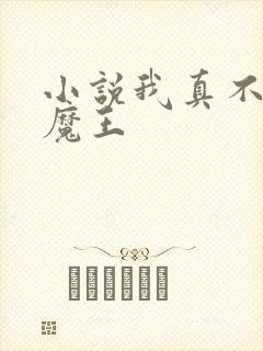 小说我真不是大魔王