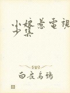 小娘惹电视剧多少集