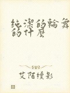 纯洁的轮舞曲讲的什么