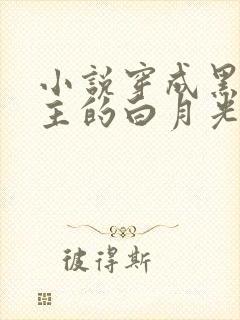 小说穿成黑化男主的白月光免费阅读封面