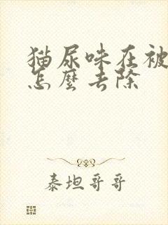 猫尿味在被子上怎么去除