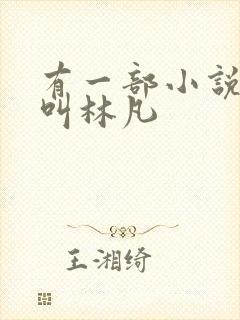 有一部小说主角叫林凡