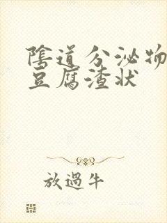 阴道分泌物白色豆腐渣状