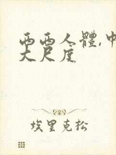 西西人体,中国大尺度