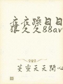 夜夜躁日日躁狠狠久久88av91