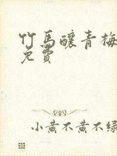 竹马酿青梅短剧免费封面