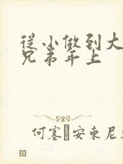 从小做到大骨科兄弟年上