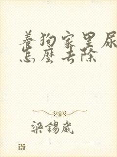 养狗家里尿骚味怎么去除