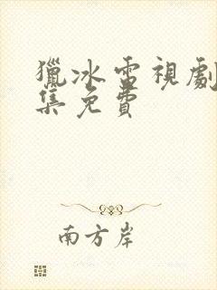 猎冰电视剧48集免费封面