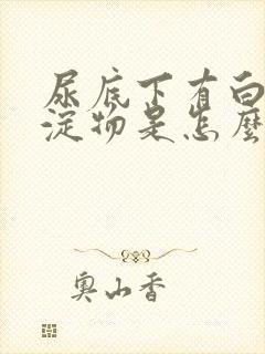 尿底下有白色沉淀物是怎么回事封面