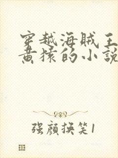 穿越海贼王成为黄猿的小说